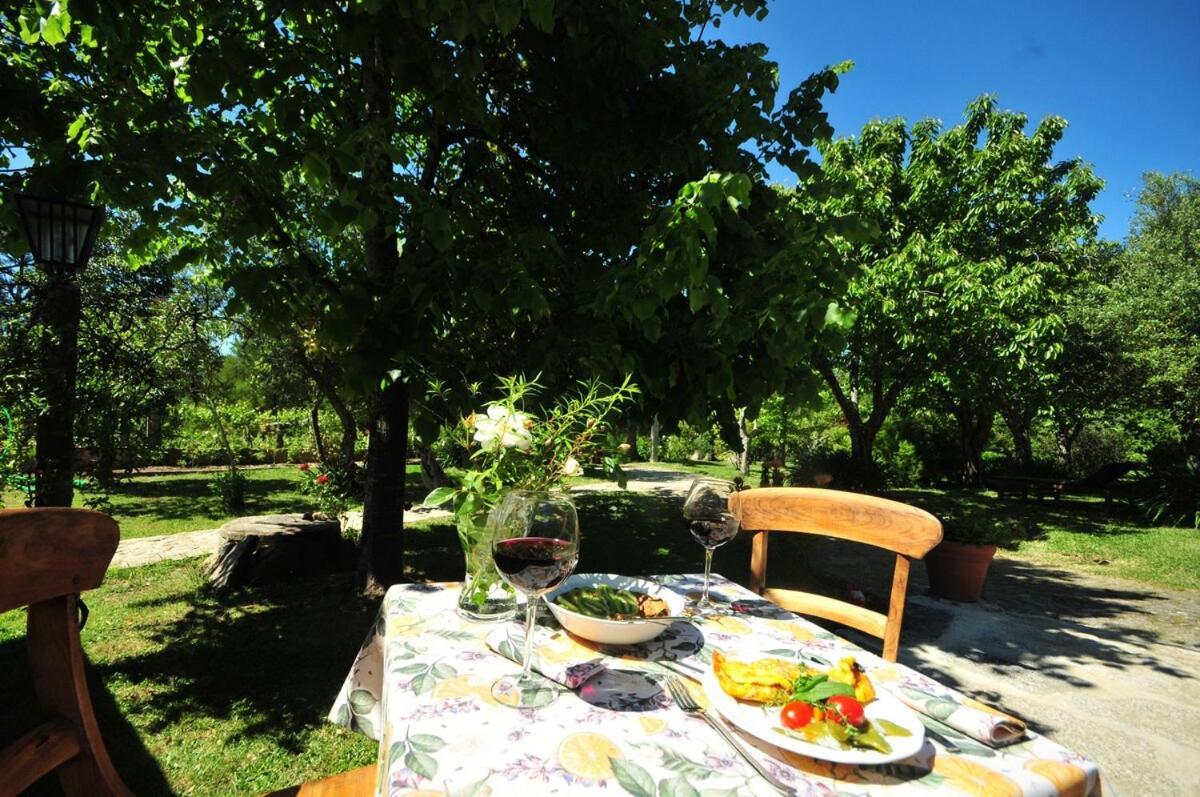 Casas De Santiago Villa Vila Nova de Cerveira Eksteriør billede